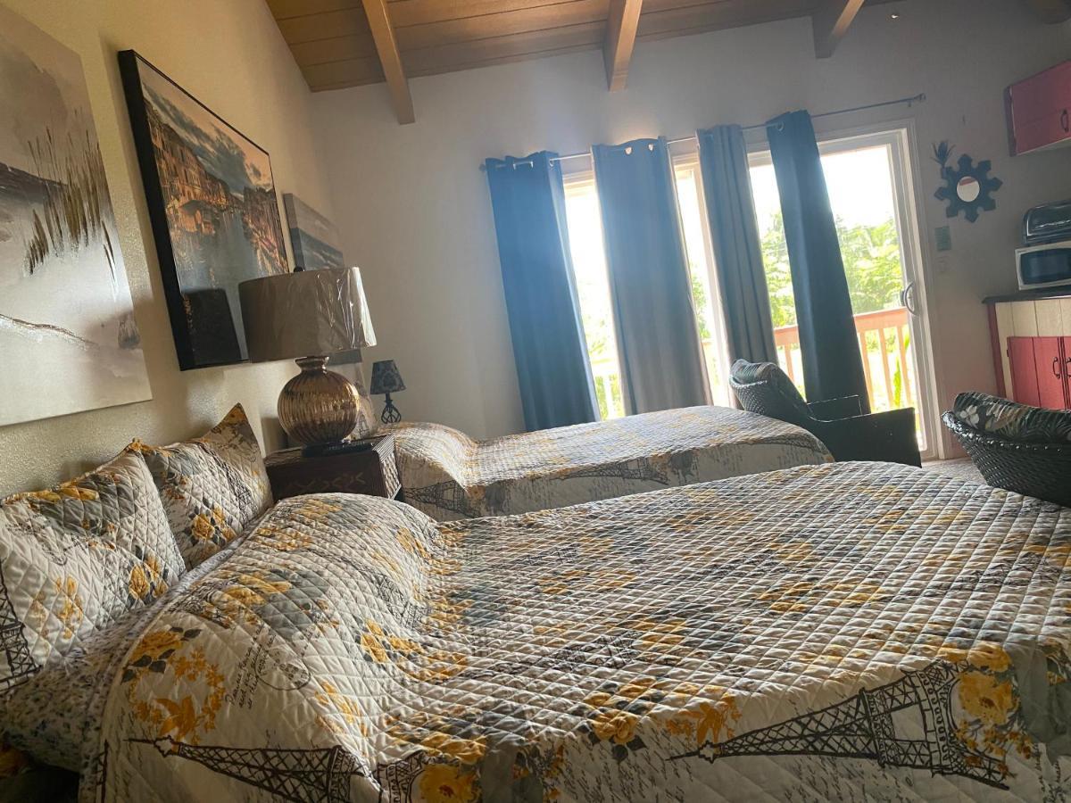 Nice Studio W/ Ac Near Kehena Beach And Lava Fields Extérieur photo