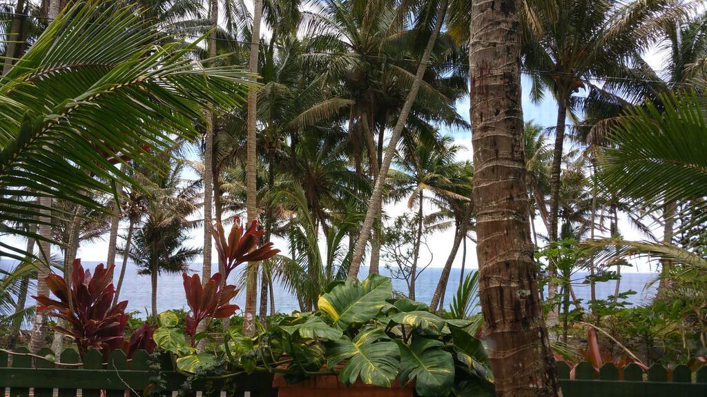 Nice Studio W/ Ac Near Kehena Beach And Lava Fields Chambre photo